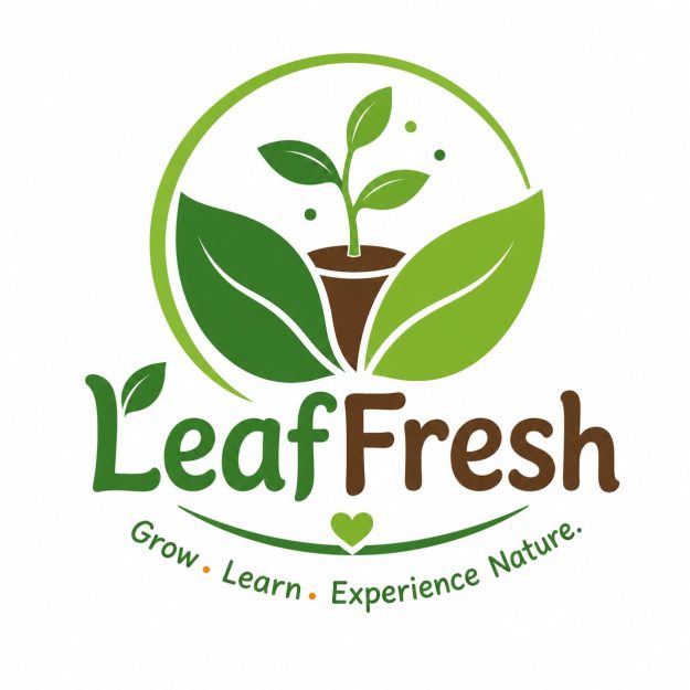 LeafFresh Kids DIY Growing Kit